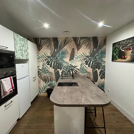 Le Garage De Cuba 公寓 埃皮纳勒